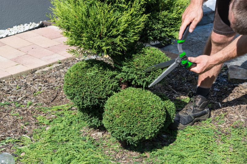 Trimmed Shrubs in a Garden