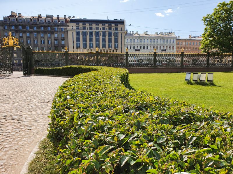 Healthy, Well-Shaped Shrubs