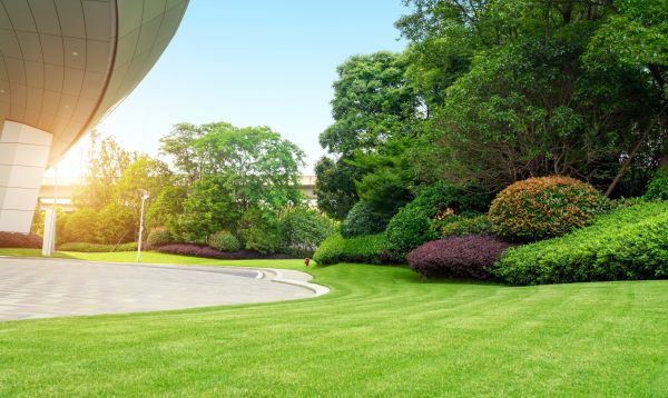 Commercial Shrub Trimming in Crystal Lake
