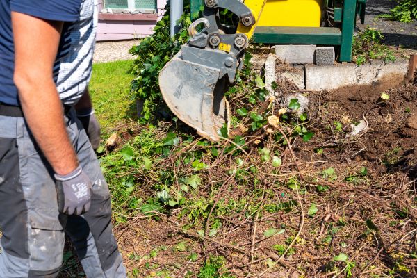Hedge Removal Service in Crystal Lake
