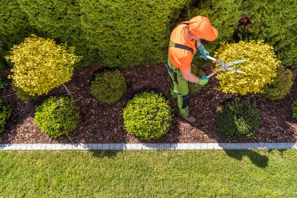 Cost of Topiary Trimming in Crystal Lake