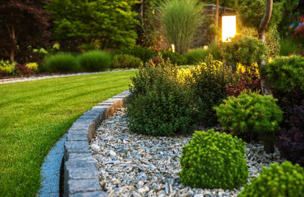 Cost of Bush Relocation in Crystal Lake
