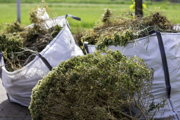 Cost of Shrubs Removal in Crystal Lake