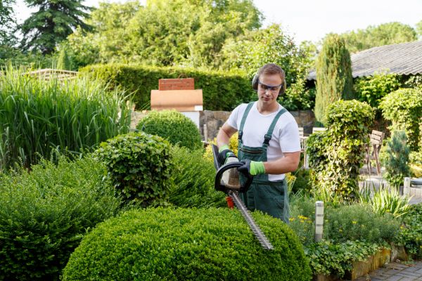 Shrubs Trimming in Crystal Lake
