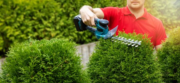 Cost of Hedge Shaping Service in Crystal Lake